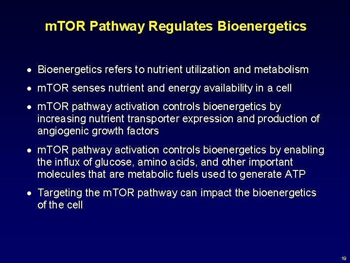 m. TOR Pathway Regulates Bioenergetics · Bioenergetics refers to nutrient utilization and metabolism ·