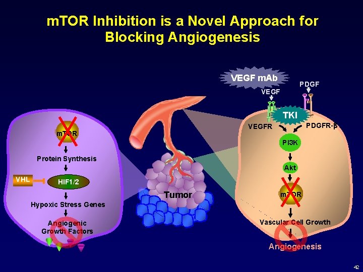 m. TOR Inhibition is a Novel Approach for Blocking Angiogenesis VEGF m. Ab PDGF