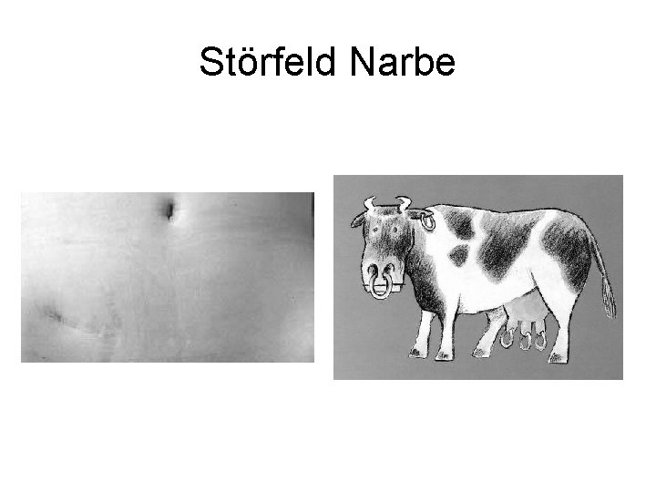 Störfeld Narbe 