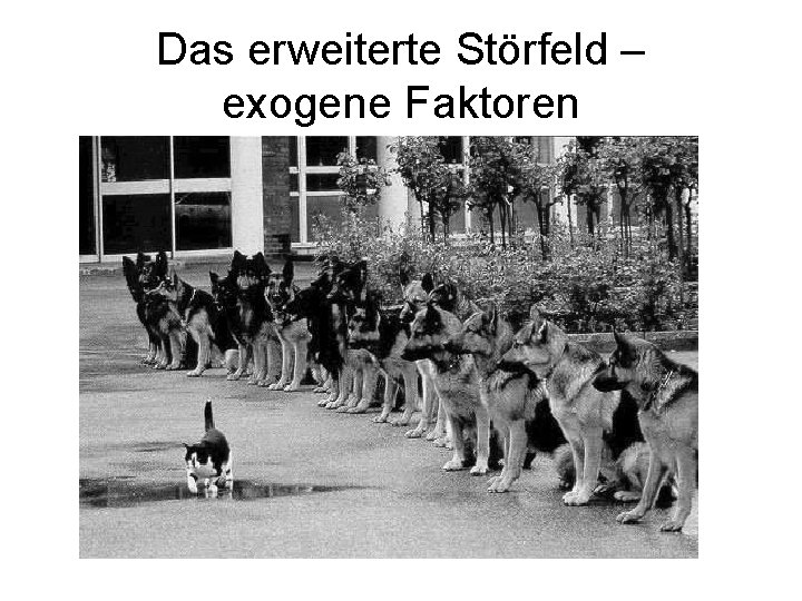 Das erweiterte Störfeld – exogene Faktoren 