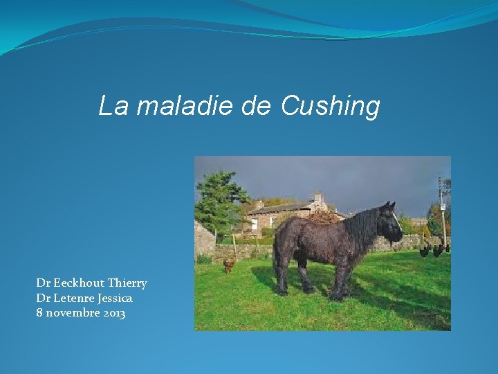 La maladie de Cushing Dr Eeckhout Thierry Dr Letenre Jessica 8 novembre 2013 