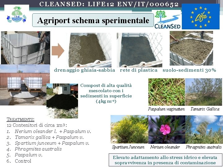 CLEANSED: LIFE 12 ENV/IT/000652 Agriport schema sperimentale drenaggio ghiaia-sabbia rete di plastica suolo-sedimenti 30%