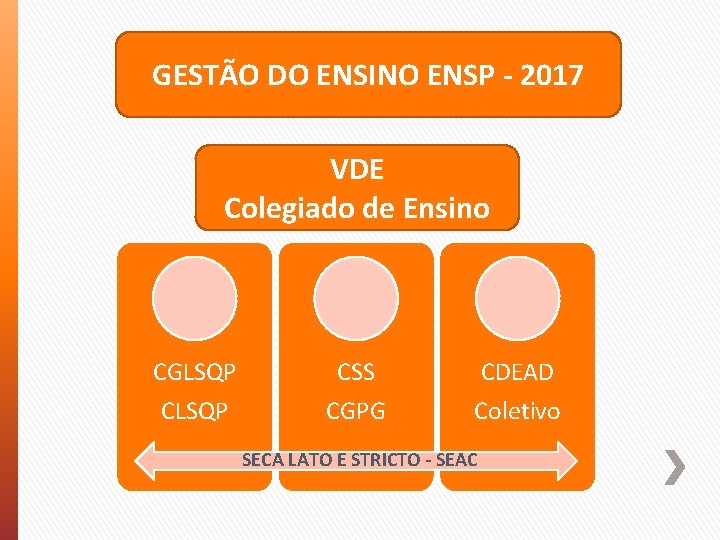 GESTÃO DO ENSINO ENSP - 2017 VDE Colegiado de Ensino CGLSQP CSS CGPG CDEAD
