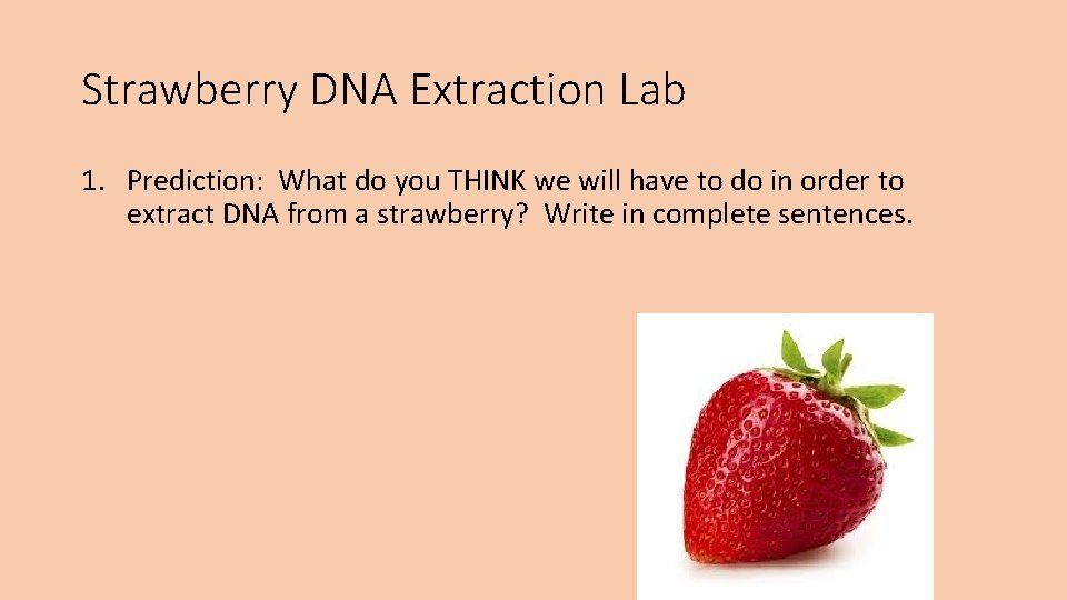 Strawberry DNA Extraction Lab 1. Prediction: What do you THINK we will have to