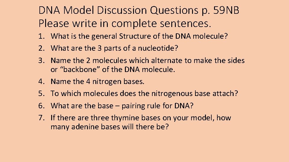 DNA Model Discussion Questions p. 59 NB Please write in complete sentences. 1. What