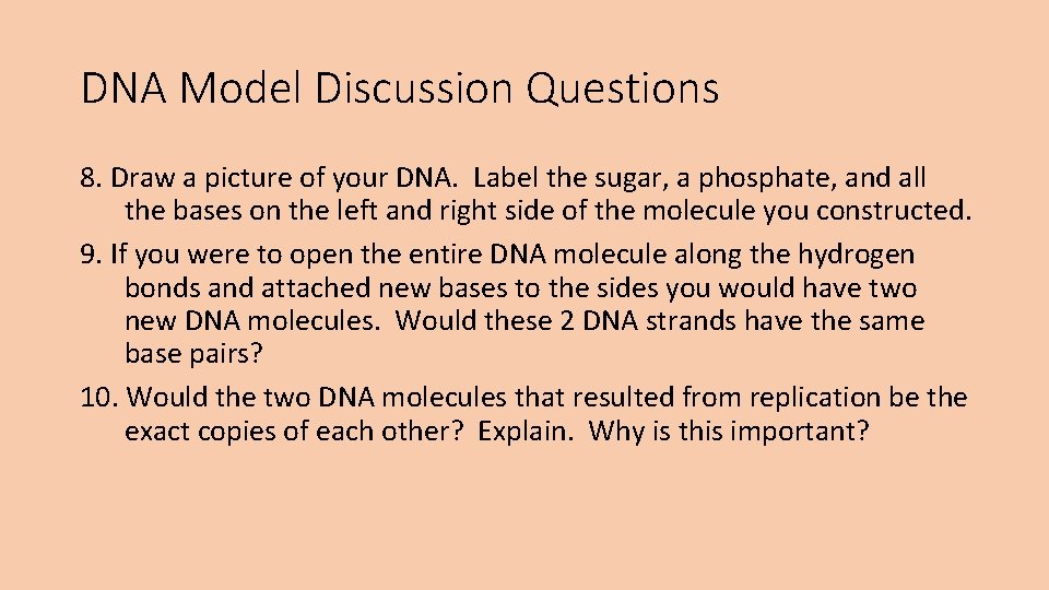 DNA Model Discussion Questions 8. Draw a picture of your DNA. Label the sugar,
