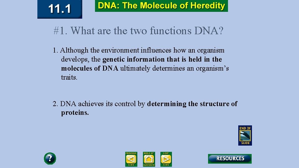 #1. What are the two functions DNA? 1. Although the environment influences how an