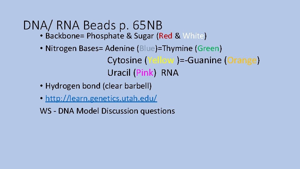 DNA/ RNA Beads p. 65 NB • Backbone= Phosphate & Sugar (Red & White)