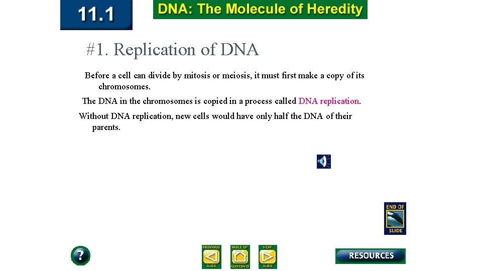 #1. Replication of DNA Before a cell can divide by mitosis or meiosis, it