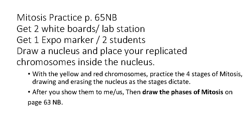 Mitosis Practice p. 65 NB Get 2 white boards/ lab station Get 1 Expo