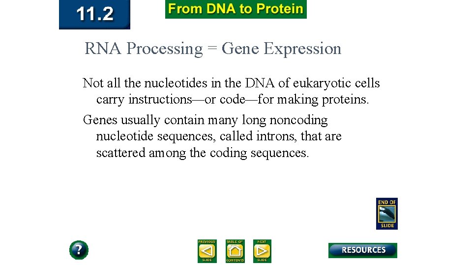 RNA Processing = Gene Expression Not all the nucleotides in the DNA of eukaryotic