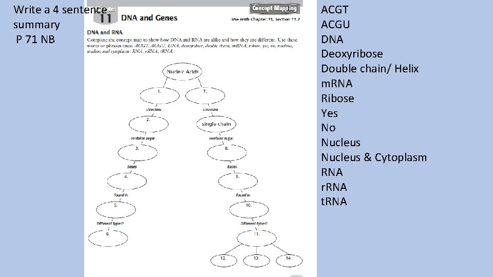 Write a 4 sentence summary P 71 NB ACGT ACGU DNA Deoxyribose Double chain/
