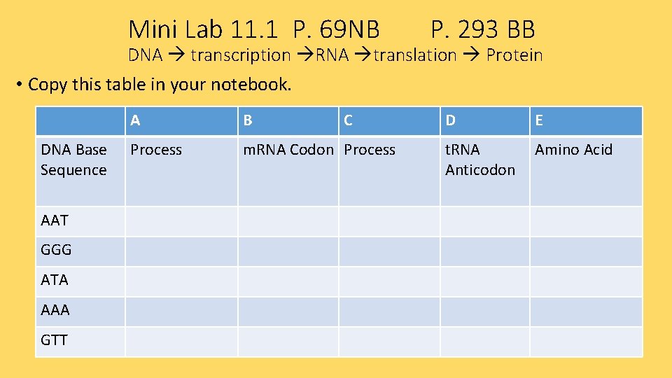Mini Lab 11. 1 P. 69 NB P. 293 BB DNA transcription RNA translation