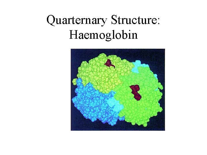 Quarternary Structure: Haemoglobin 