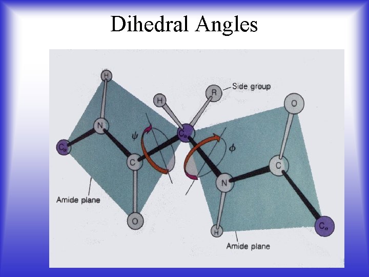 Dihedral Angles 