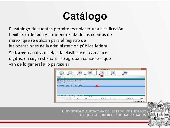 Catálogo El catálogo de cuentas permite establecer una clasificación flexible, ordenada y pormenorizada de