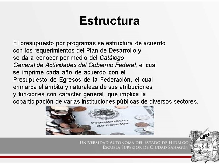 Estructura El presupuesto por programas se estructura de acuerdo con los requerimientos del Plan