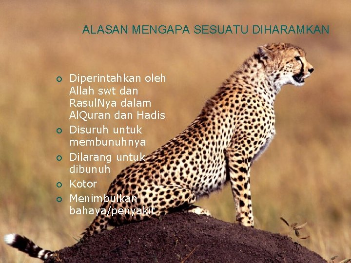 ALASAN MENGAPA SESUATU DIHARAMKAN ¡ ¡ ¡ Diperintahkan oleh Allah swt dan Rasul. Nya