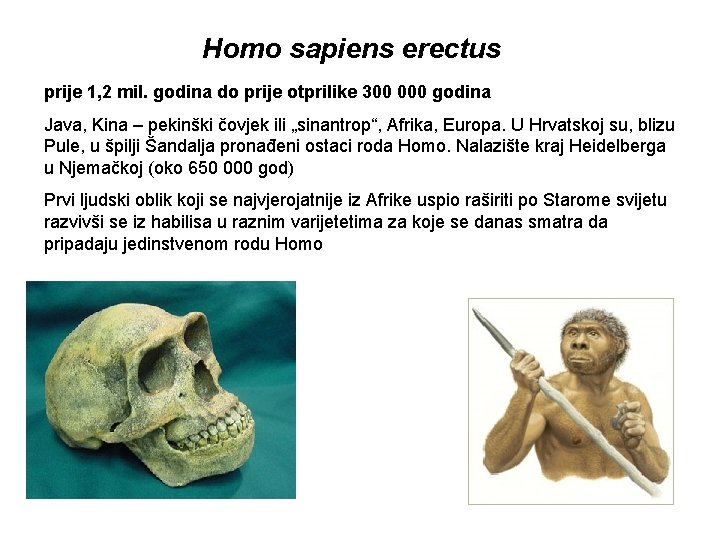 Homo sapiens erectus prije 1, 2 mil. godina do prije otprilike 300 000 godina