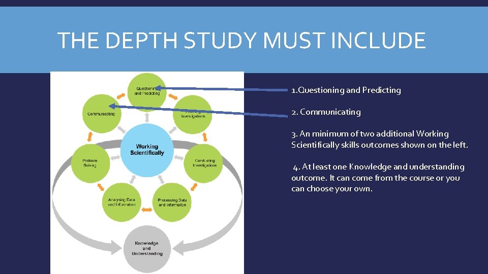  THE DEPTH STUDY MUST INCLUDE 1. Questioning and Predicting 2. Communicating 3. An