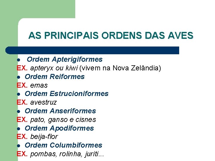 AS PRINCIPAIS ORDENS DAS AVES Ordem Apterigiformes EX. apteryx ou kiwi (vivem na Nova