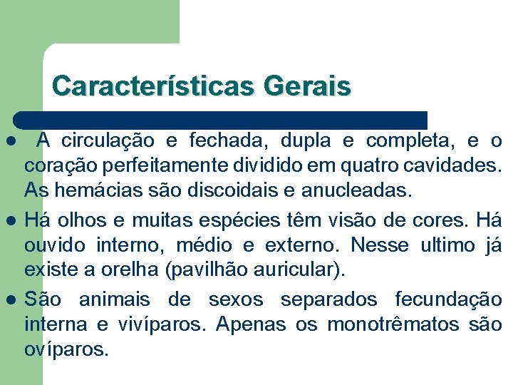 Características Gerais l l l A circulação e fechada, dupla e completa, e o