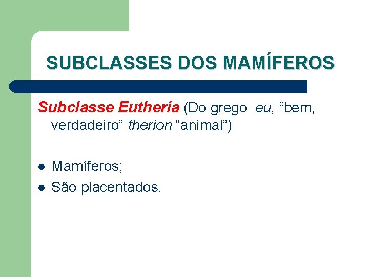 SUBCLASSES DOS MAMÍFEROS Subclasse Eutheria (Do grego eu, “bem, verdadeiro” therion “animal”) l l