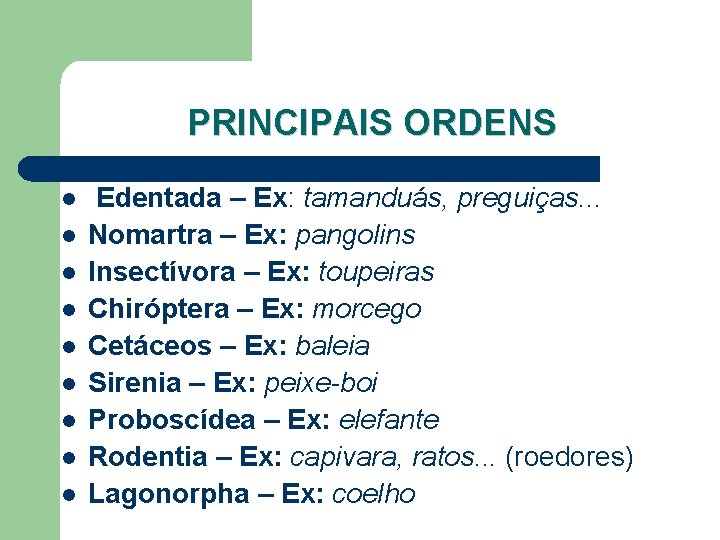 PRINCIPAIS ORDENS l l l l l Edentada – Ex: tamanduás, preguiças. . .