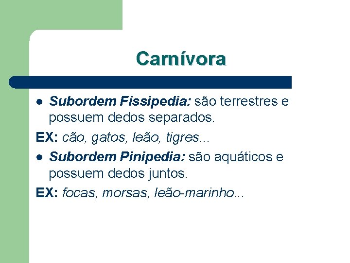 Carnívora Subordem Fissipedia: são terrestres e possuem dedos separados. EX: cão, gatos, leão, tigres.