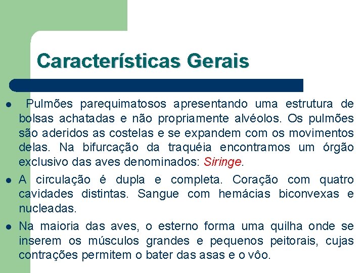 Características Gerais l l l Pulmões parequimatosos apresentando uma estrutura de bolsas achatadas e