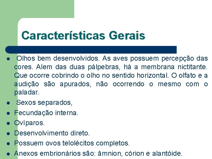 Características Gerais l l l l Olhos bem desenvolvidos. As aves possuem percepção das