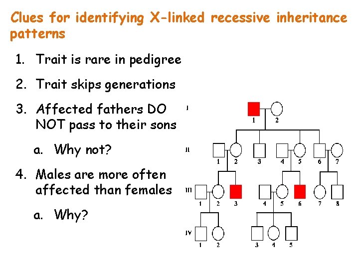 Clues for identifying X-linked recessive inheritance patterns 1. Trait is rare in pedigree 2.