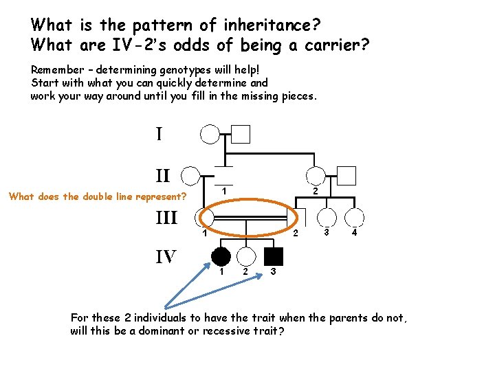 What is the pattern of inheritance? What are IV-2’s odds of being a carrier? What is the pattern of inheritance? What are IV-2’s odds of being a carrier?