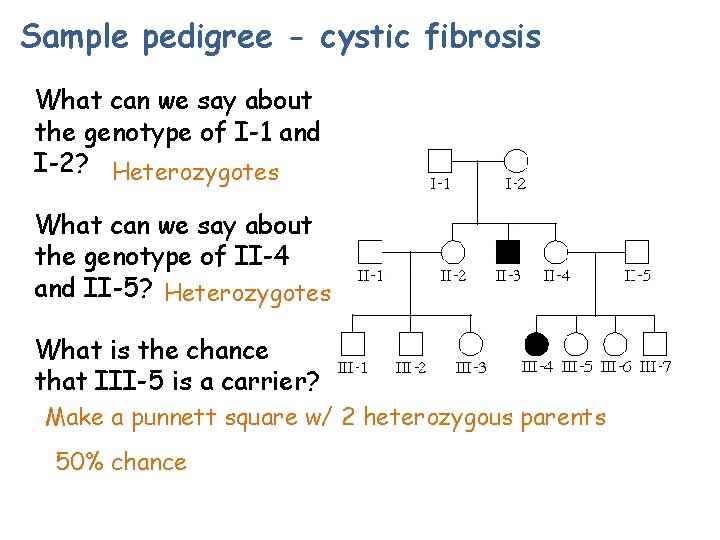 Sample pedigree - cystic fibrosis What can we say about the genotype of I-1 Sample pedigree - cystic fibrosis What can we say about the genotype of I-1