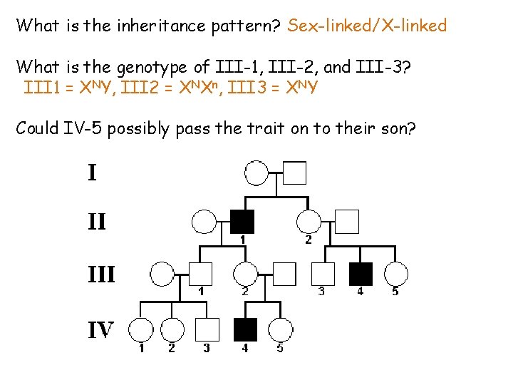 What is the inheritance pattern? Sex-linked/X-linked What is the genotype of III-1, III-2, and