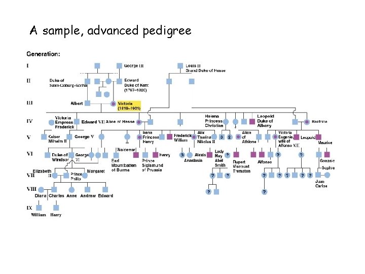 A sample, advanced pedigree 