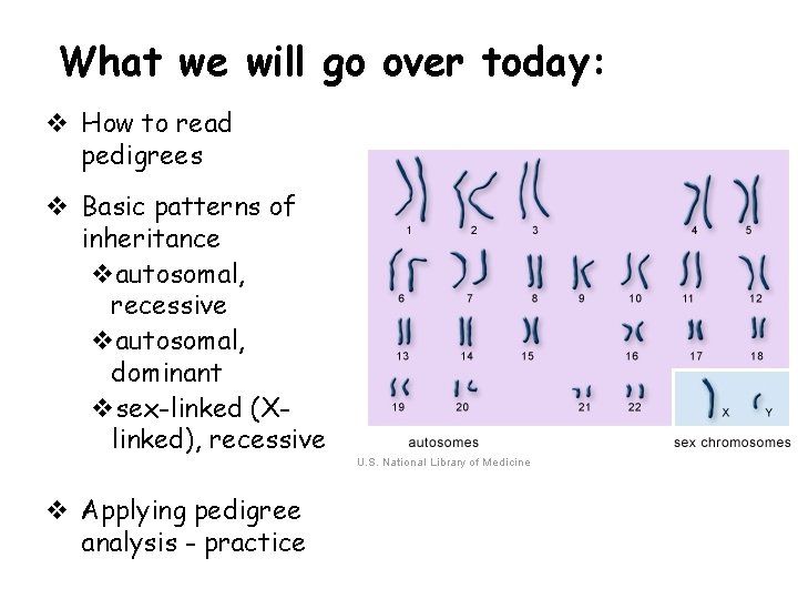 What we will go over today: v How to read pedigrees v Basic patterns