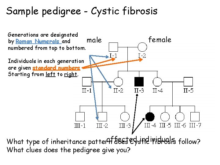 Sample pedigree - Cystic fibrosis Generations are designated male by Roman Numerals and numbered