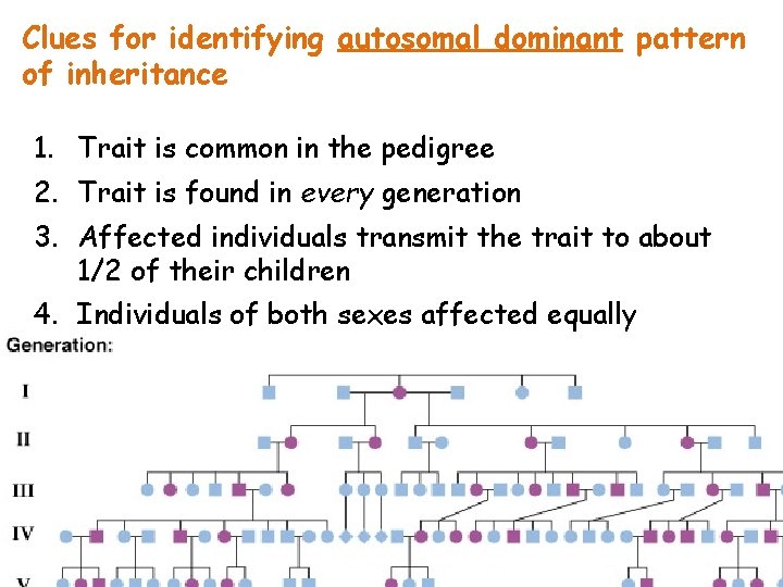 Clues for identifying autosomal dominant pattern of inheritance 1. Trait is common in the