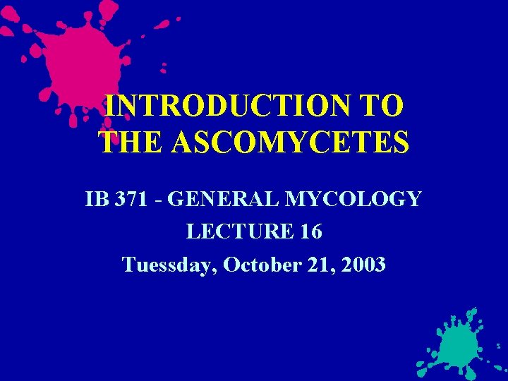 INTRODUCTION TO THE ASCOMYCETES IB 371 - GENERAL MYCOLOGY LECTURE 16 Tuessday, October 21,