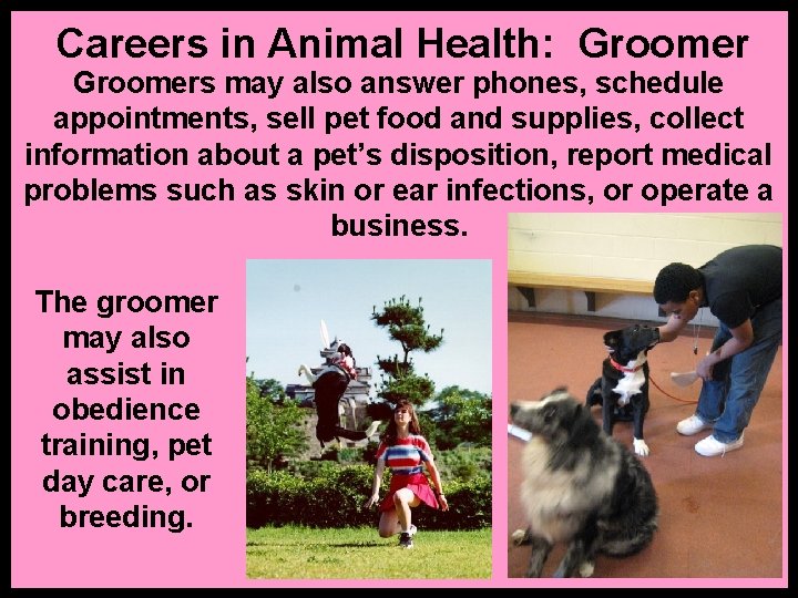 Careers in Animal Health: Groomers may also answer phones, schedule appointments, sell pet food
