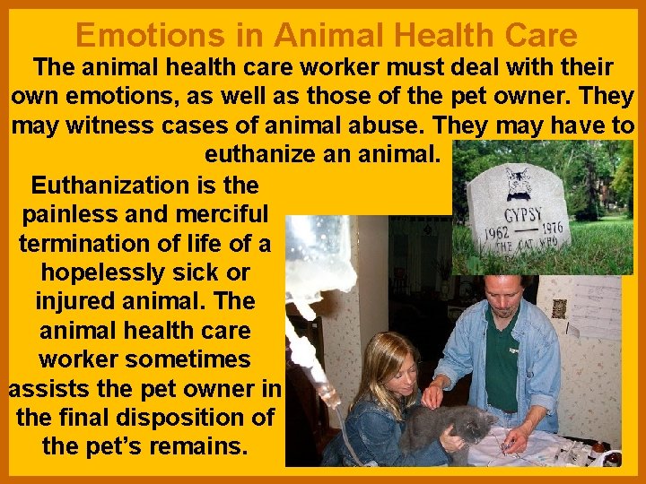 Emotions in Animal Health Care The animal health care worker must deal with their