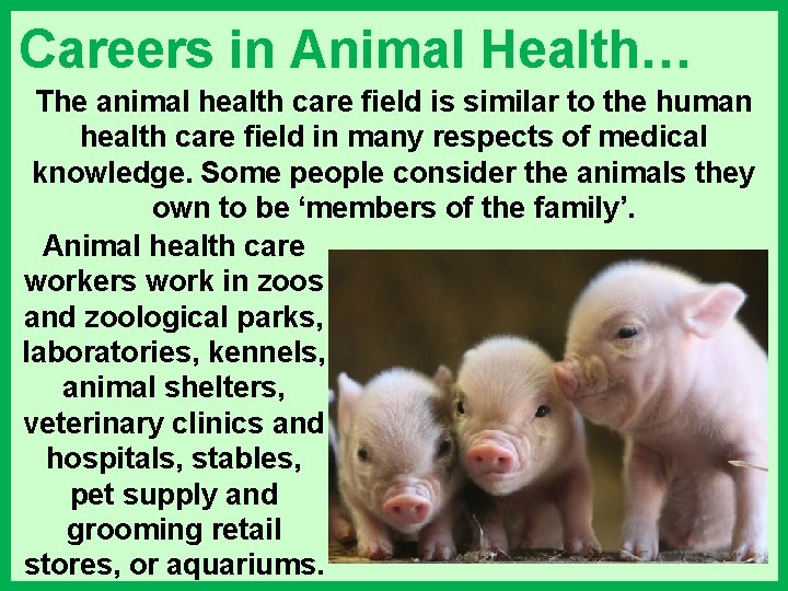 Careers in Animal Health… The animal health care field is similar to the human