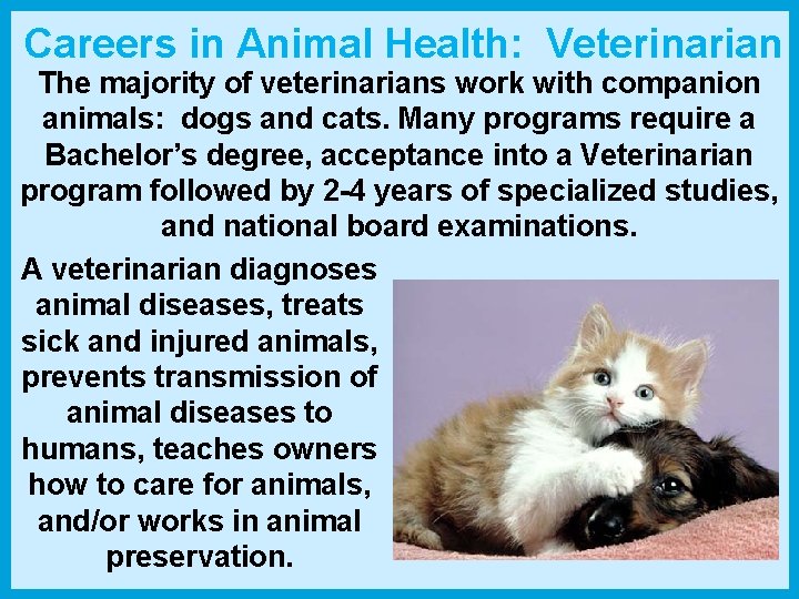 Careers in Animal Health: Veterinarian The majority of veterinarians work with companion animals: dogs