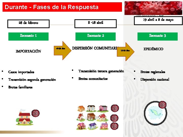 Durante - Fases de la Respuesta 28 de febrero 8 -18 abril Escenario 1
