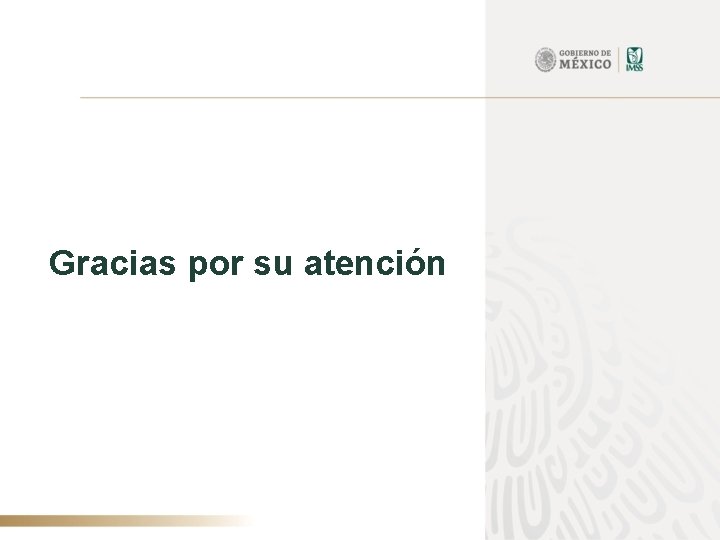 Gracias por su atención 