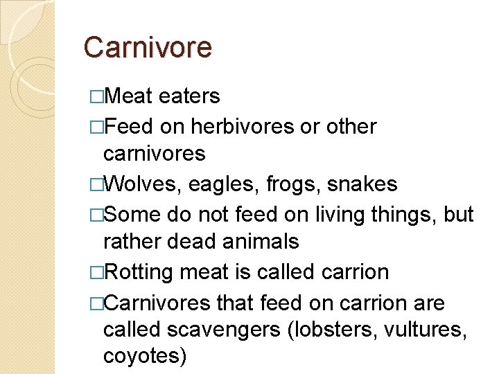 Carnivore �Meat eaters �Feed on herbivores or other carnivores �Wolves, eagles, frogs, snakes �Some