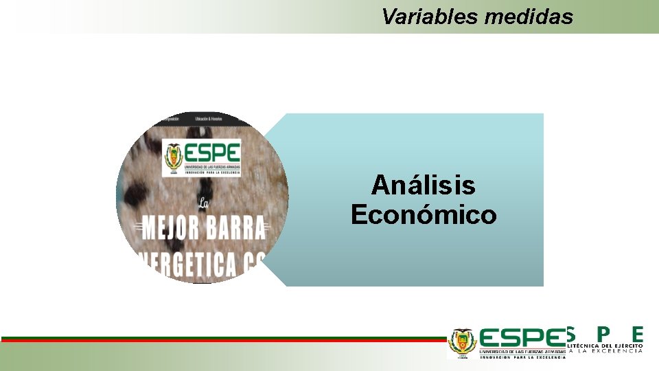 Variables medidas Análisis Económico 