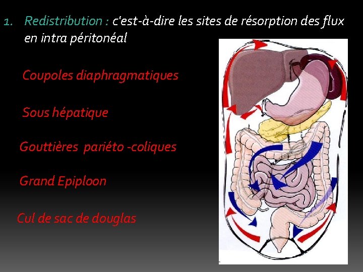 1. Redistribution : c'est-à-dire les sites de résorption des flux en intra péritonéal Coupoles