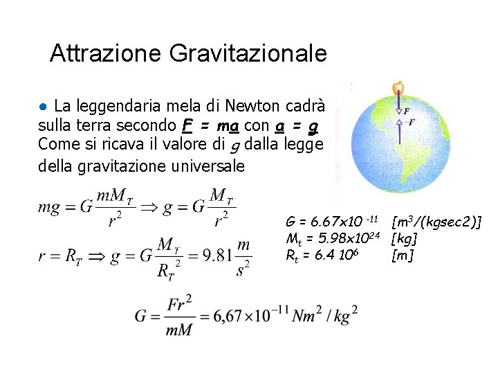 Attrazione Gravitazionale ● La leggendaria mela di Newton cadrà sulla terra secondo F = Attrazione Gravitazionale ● La leggendaria mela di Newton cadrà sulla terra secondo F =
